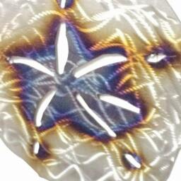 Metal Sand Dollar, Wall Hanging 8 - thumbnail 4