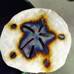 Metal Sand Dollar, Wall Hanging 8 - thumbnail 3