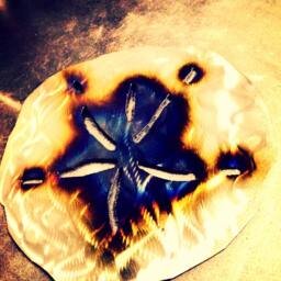 Metal Sand Dollar, Wall Hanging 8 - thumbnail 2
