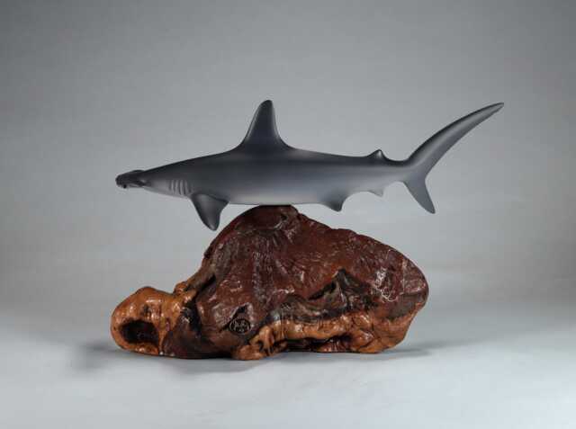 Hammerhead Shark Sculpture By John Perry 12 Inches Long On Polished Burlwood Base. Signed - image 1
