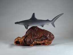 Hammerhead Shark Sculpture By John Perry 12 Inches Long On Polished Burlwood Base. Signed - thumbnail 1