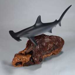 Hammerhead Shark Sculpture By John Perry 12 Inches Long On Polished Burlwood Base. Signed - thumbnail 4