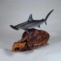 Hammerhead Shark Sculpture By John Perry 12 Inches Long On Polished Burlwood Base. Signed - thumbnail 3
