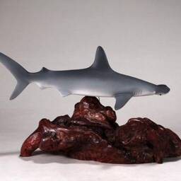 Hammerhead Shark Sculpture By John Perry 12 Inches Long On Polished Burlwood Base. Signed - thumbnail 2