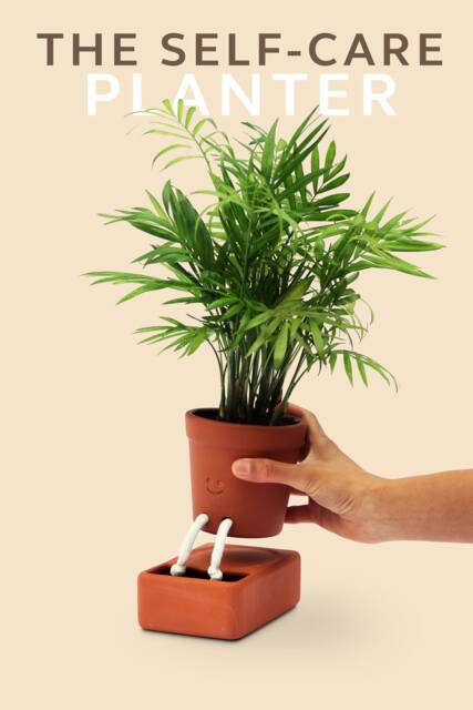 Self-Care Planter - Self Watering Plant Pot For Plants & Herbs Cute Pot With Face Automatic Plant Feeder To Keep Alive - image 1