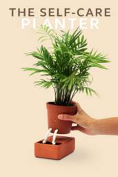 Self-Care Planter - Self Watering Plant Pot For Plants & Herbs Cute Pot With Face Automatic Plant Feeder To Keep Alive