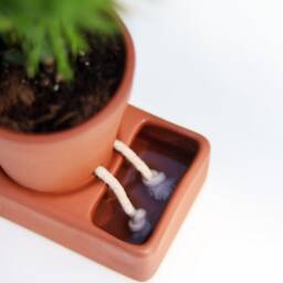 Self-Care Planter - Self Watering Plant Pot For Plants & Herbs Cute Pot With Face Automatic Plant Feeder To Keep Alive - thumbnail 2