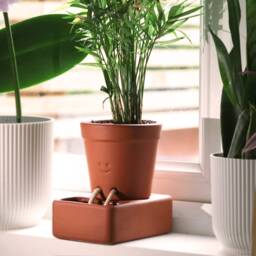 Self-Care Planter - Self Watering Plant Pot For Plants & Herbs Cute Pot With Face Automatic Plant Feeder To Keep Alive - thumbnail 4