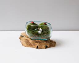 Blown Glass Small, Melted Glass, Molten Terrarium, Vase, Hand Recycled Succulent Planter, Office Decor, Birthday Gift - thumbnail 1