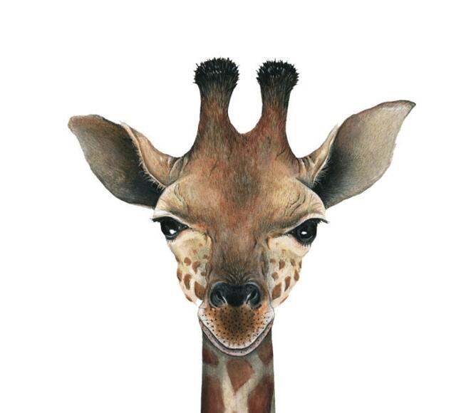 Giraffe Wall Decal - image 1