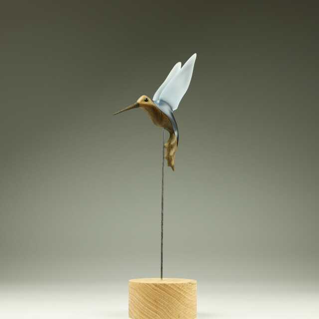 Hummingbird - H_4 - image 1