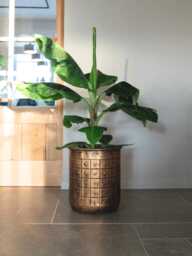 Handmade Copper Plant Pot, Tobi Embossed Metal Planter, Indoor Use, Multiple Sizes, D41-D27cm - thumbnail 1