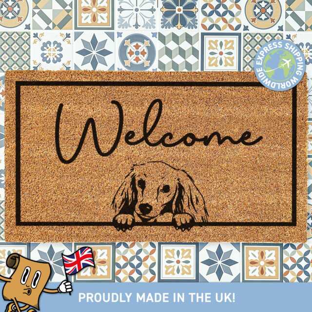 Long Haired Sausage Dog Doormat, Personalized Wiener Customised Welcome Pet Gift, Cute Dog, Personalised Mat - image 1