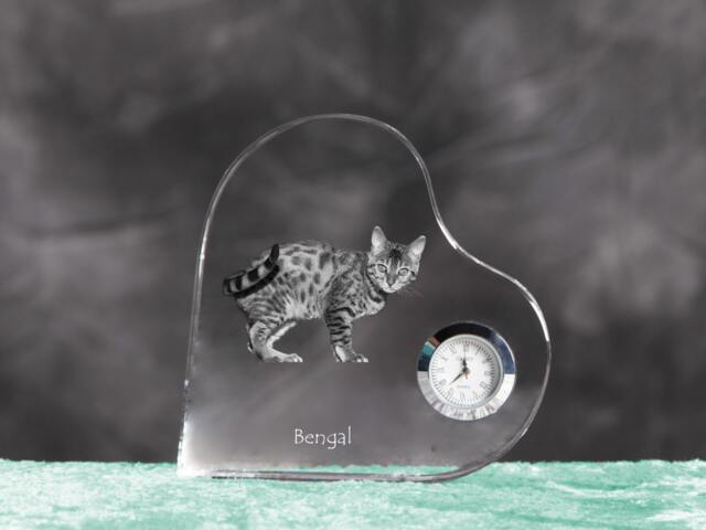 Bengal - Crystal Clock in The Shape Of A Heart With Image Pure-Bred Cat - image 1