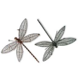 Metal Wire Dragonfly Wall Art - Assorted Colours 60cm Wingspan - thumbnail 1
