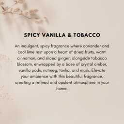 Spicy Vanilla & Tobacco Soy Wax Candle Summer Gift For Her Autumn Home Decor Modern Cabin Christmas For Him - thumbnail 4