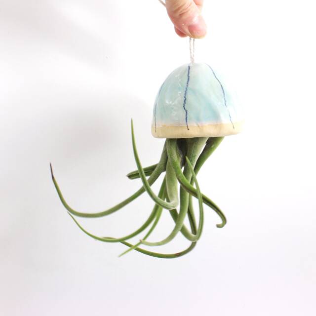 Limited Edition Xl Caput Ceramic Jellyfish Air Plant - image 1