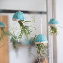 Limited Edition Xl Caput Ceramic Jellyfish Air Plant - thumbnail 3