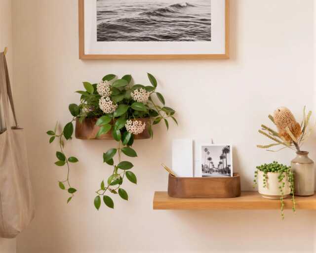 Indoor Wall Planter, Walnut Plant Shelf, Hanging Floating Display Rack For Plants, Pot - image 1