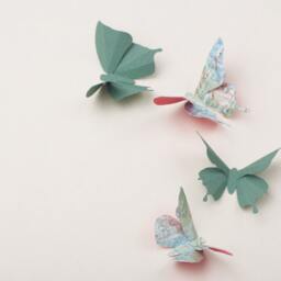 3D Wall Butterflies Butterfly Art For Nursery, Girl's Room, Or Home Decor in Spruce & Teal Script - thumbnail 3