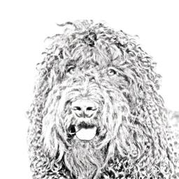 Barbet - Wooden Stand For Candles/Pens With The Image Of A Dog New Collection - thumbnail 2
