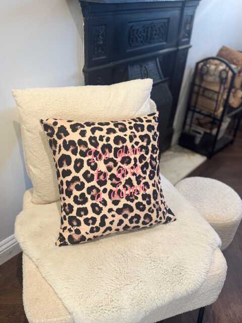 Leopard Print Cushion Cover With'too Glam To Give A Damn' Embroidered in Pink - image 1