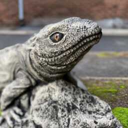 Amazing Lizard Garden Statue Concrete Reptile Sculpture Outdoor Figurine Cement Yard Decor Lizard Lover Gift Handmade Home Art - thumbnail 3