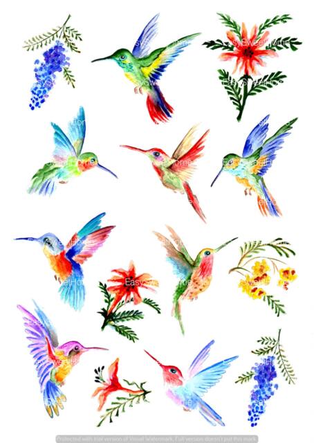 Hummingbird Wall Decals, 14-Set Vinyl Decals For Wall, Furniture, Tiles, Colibri Stickers, Home D??cor - image 1