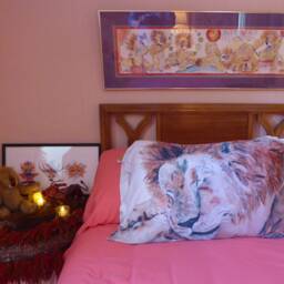 Don't Bug Me Pillowcase - thumbnail 3