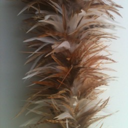 Hawaiian Feather Kahili, Custom Pono Home Decor, Black Bamboo Base - thumbnail 3