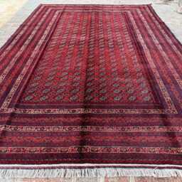 6x9 Handmade Afghan Bukhara Wool Rug in Red - Traditional Oriental Pattern Elegant Area Carpet For Lounge, Dining Space Or Studio - thumbnail 3