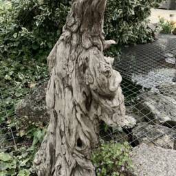 Stone Garden Tree Wizard Hand Cast Statue Ornament - thumbnail 3