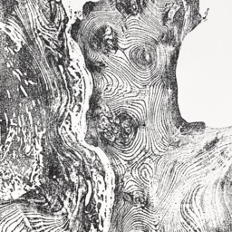 Redwood Burl Woodblock Print California Tree Ring Art - 36x30 - thumbnail 2