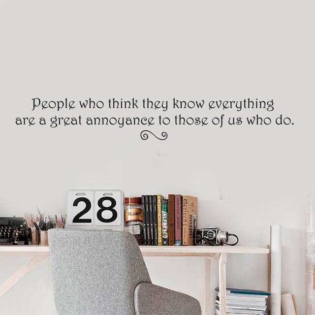 Think They Know Everything - 0356, Wall Art Decal, Transfer, Mural, Sticker, 75 Colours, 5 Sizes, Interior Or Exterior Use , Easy To Apply - image 1