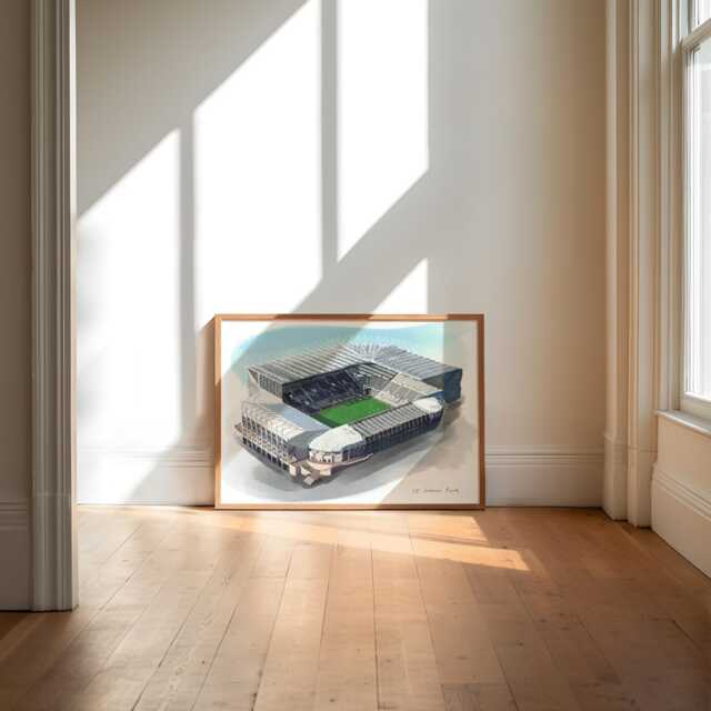 St James' Park Art Print, Newcastle Football Stadium Poster - image 1
