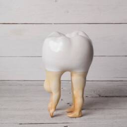 A Hand - Crafted Ceramic Fun Tooth Human Figure, Gift For A Dentist, Teeth Design, Christmas Gift, Tooth Figurine, Statue - thumbnail 2