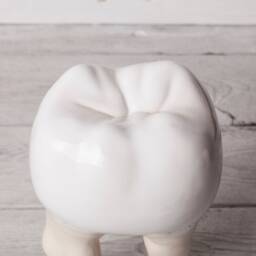 A Hand - Crafted Ceramic Fun Tooth Human Figure, Gift For A Dentist, Teeth Design, Christmas Gift, Tooth Figurine, Statue - thumbnail 3