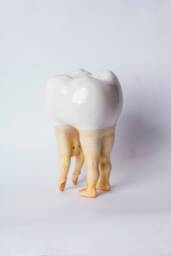 A Hand - Crafted Ceramic Fun Tooth Human Figure, Gift For A Dentist, Teeth Design, Christmas Gift, Tooth Figurine, Statue - thumbnail 1