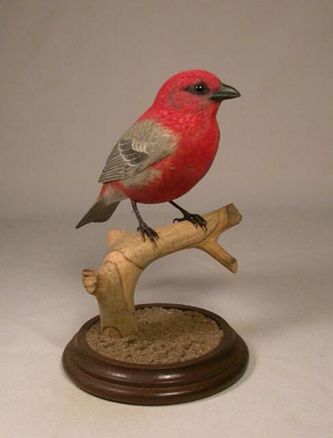 Pine Grosbeak Hand Carved Wood Bird Carving - image 1