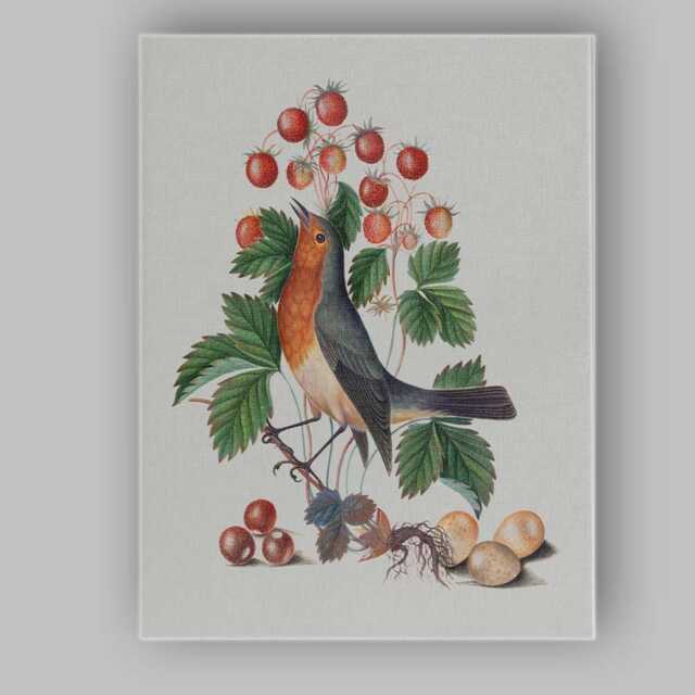 Vintage Robin Bird & Wild Strawberries Botanical Illustration Canvas Wall Art Print Decor Picture Ready To Hang - image 1