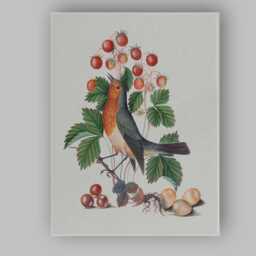 Vintage Robin Bird & Wild Strawberries Botanical Illustration Canvas Wall Art Print Decor Picture Ready To Hang - thumbnail 1