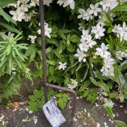 Bird Feeder Flower Stake - Dish Table Birdbath Cast Iron Garden Gift Ornament - thumbnail 3