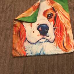 Ckcs Decorative Satin Pillow Cover - 13.5 - thumbnail 2