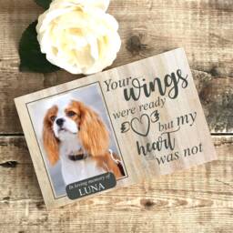 Pet Memorial Gift, Dog Memorial, Frame, Plaque, Photo Cat - thumbnail 2