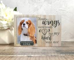 Pet Memorial Gift, Dog Memorial, Frame, Plaque, Photo Cat