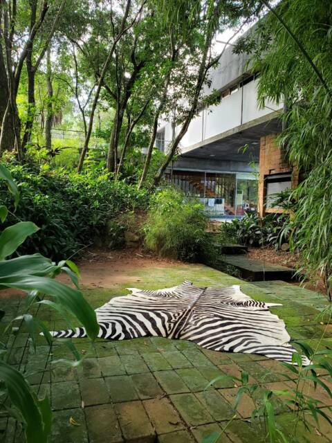 Zebra Xl Cowhide Stenciled Rug Handmade Amazing Peau De Zebre - image 1