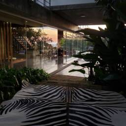 Zebra Xl Cowhide Stenciled Rug Handmade Amazing Peau De Zebre - thumbnail 2