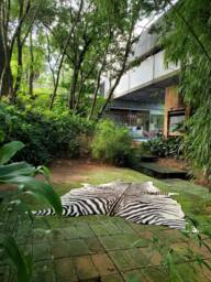 Zebra Xl Cowhide Stenciled Rug Handmade Amazing Peau De Zebre - thumbnail 1
