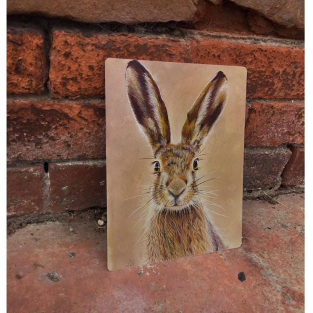 Hare Animal Woodland Creature Wilf Life Country Enamel Metal Tin Sign Wall Plaque
