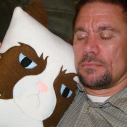 Grumpy Cat Pillow, Plush, Throw Room Decor - thumbnail 2